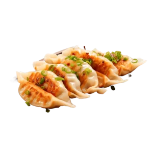 Fried Gyoza